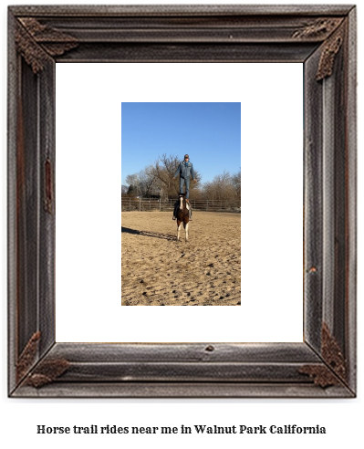 horse trail rides near me in Walnut Park, California